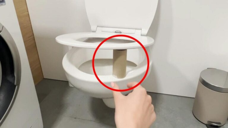 Questo trucco rivoluzionario per il bagno cambierà il tuo modo di vedere le toilette…