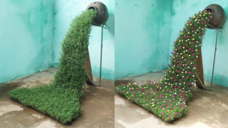 Questo semplice gesto trasforma il tuo giardino in una meravigliosa cascata di colori…