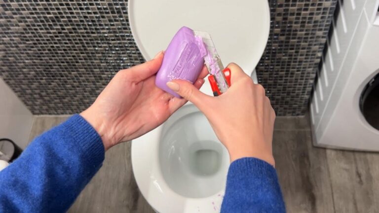 Questo semplice gesto ti garantirà toilette profumate e pulite per due settimane…