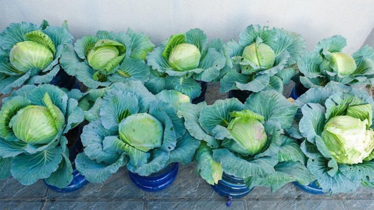 Alcuni trucchetti da cucina che semplificheranno la tua vita quotidiana…