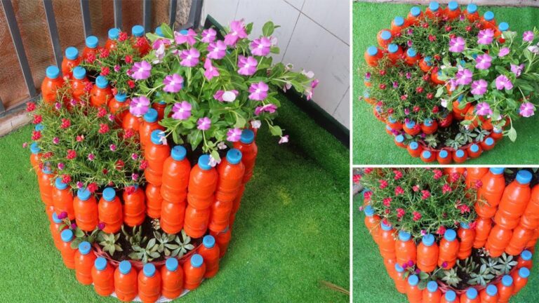 Questo semplice gesto trasforma bottiglie di plastica in un giardino spiralato mozzafiato…