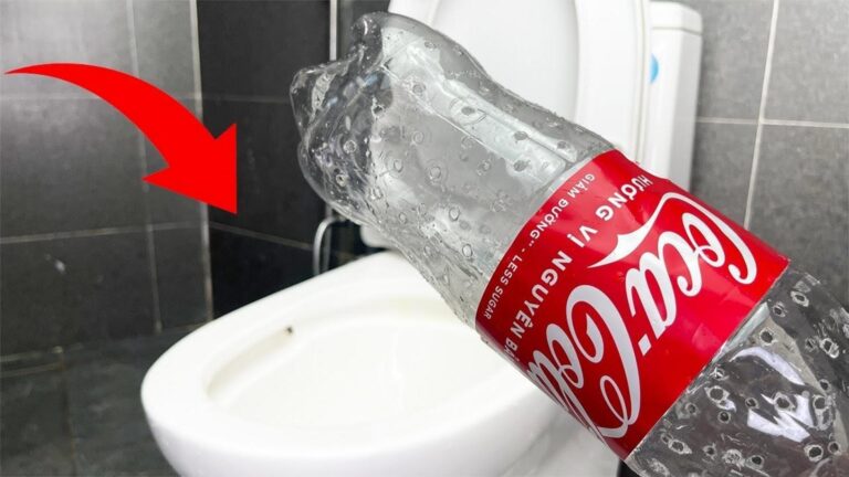 Questo semplice gesto può risolvere i problemi del tuo WC in un attimo…