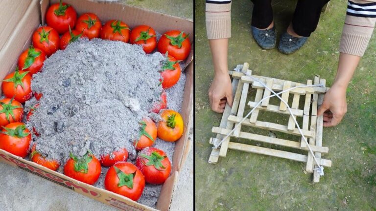 Questo semplice gesto trasforma il tuo giardino a basso costo… scopri come farlo!
