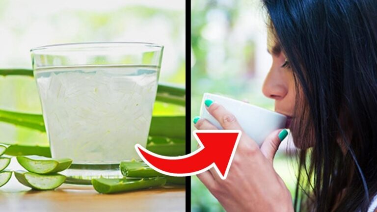 Questo semplice gesto con l’aloe vera trasforma la tua salute… scopri il segreto!