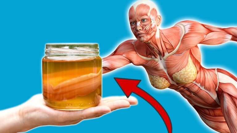 5 motivi per bere Kombucha ogni giorno e migliorare la tua salute!