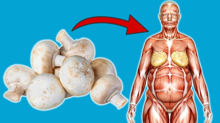 7 incredibili benefici del mangiare funghi ogni giorno per il tuo corpo