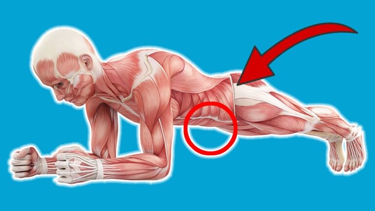 Scopri 7 sorprendenti benefici dei piegamenti giornalieri per il tuo corpo!