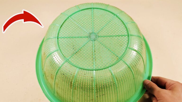 Rendi il tuo portavivande come nuovo con questi 5 semplici trucchi!
