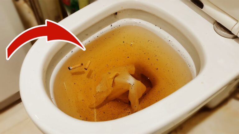 Scopri 3 trucchi per sbloccare il tuo tubo in soli 3 minuti!