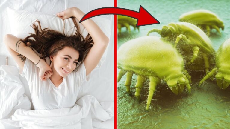 Perché non rifare il letto? 5 motivi che ti sorprenderanno!