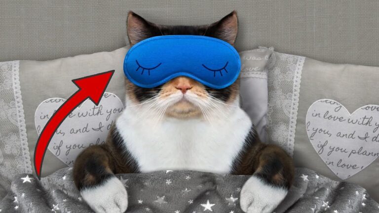 9 sorprendenti effetti del sonno sul tuo corpo che non conoscevi!