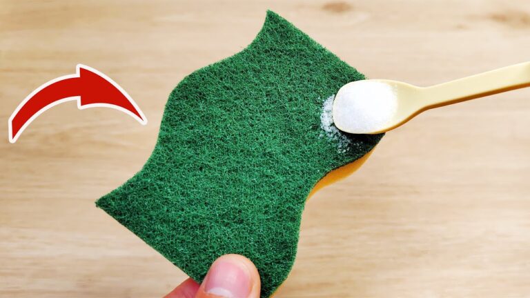 Scopri 5 trucchi sorprendenti per usare il tuo spugnetta da cucina in modo innovativo!