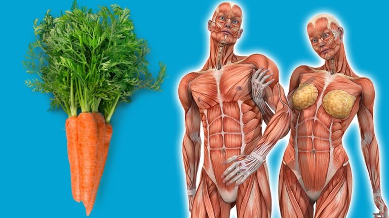 Scopri 7 incredibili benefici di mangiare carote ogni giorno per il tuo corpo!