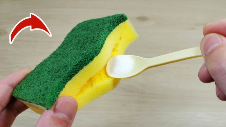 Scopri 3 usi sorprendenti di una spugna con un buco per la cucina!