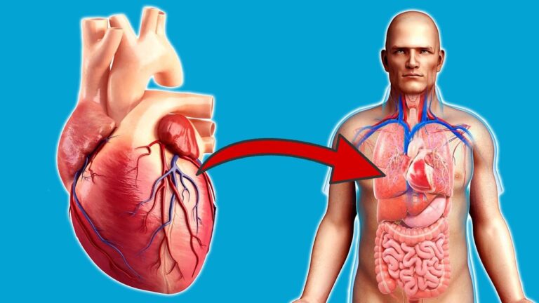 Scopri 5 benefici sorprendenti di allenarsi ogni giorno per il tuo cuore!