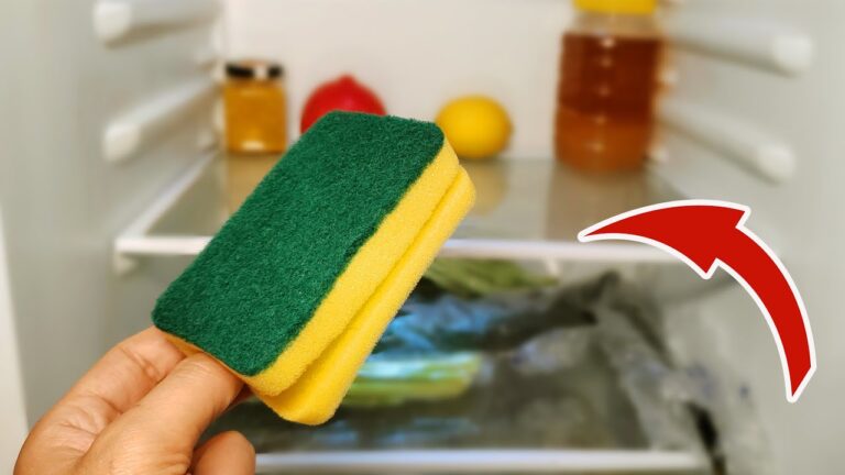 Scopri 5 motivi per cui un semplice spugna in frigo farà la differenza!