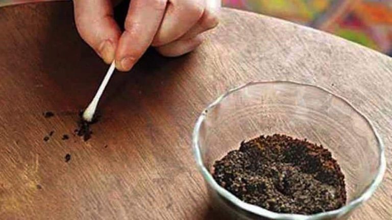 Scopri il trucco per rimuovere le righe dai mobili e farli sembrare nuovi!