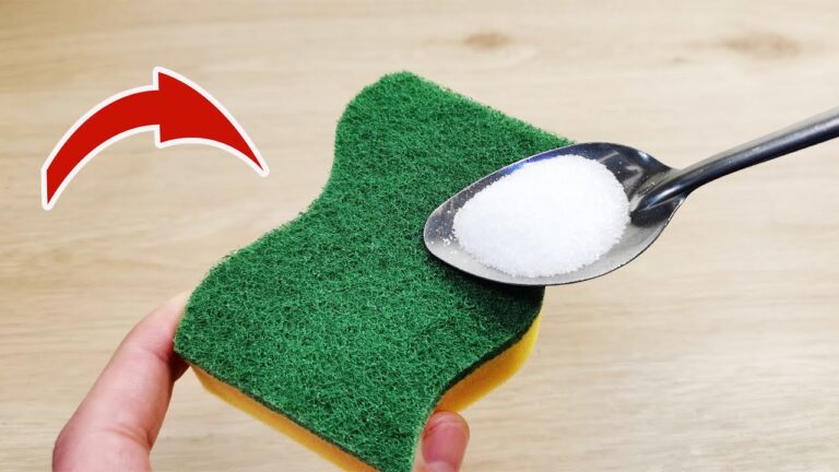 Scopri 5 motivi per usare questo trucco con la spugna per piatti!