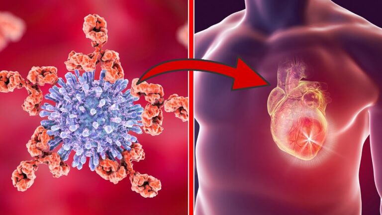 8 abitudini che riducono il rischio di infarto: scopri quali sono!