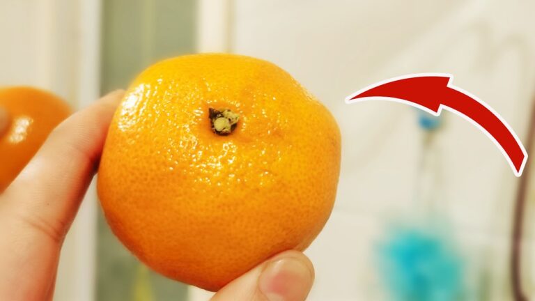 Scopri 5 usi sorprendenti delle arance: trucchi che non conoscevi!