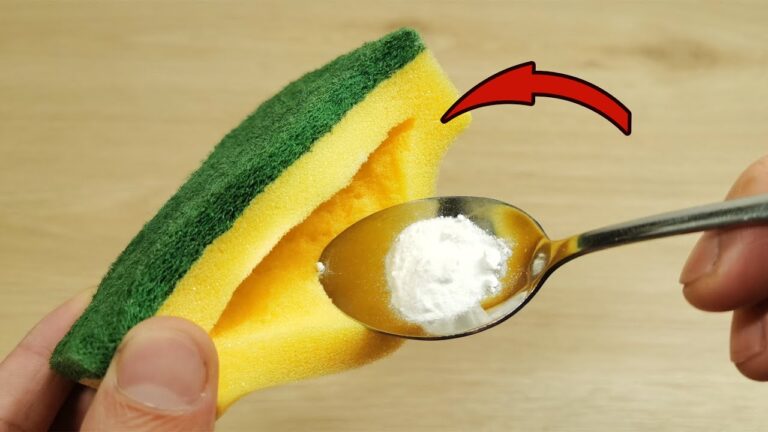 Scopri 5 sorprendenti usi della spugna da cucina che non conoscevi!