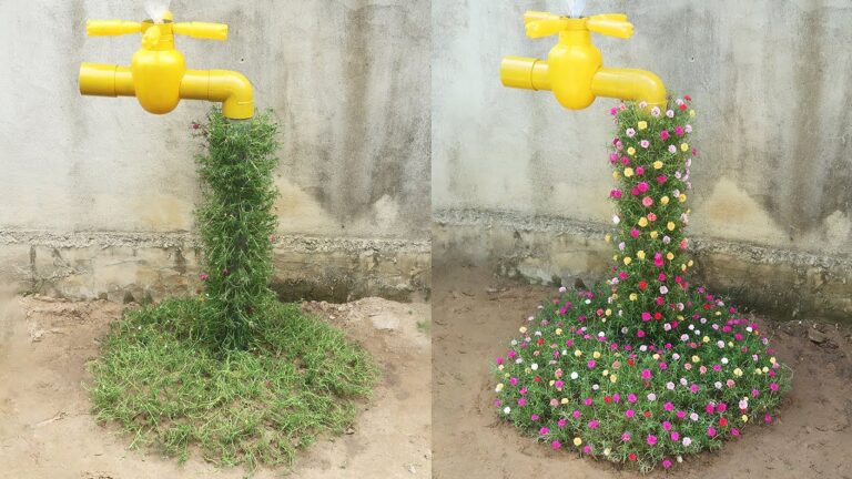 5 idee sorprendenti per un giardino di fiori Portulaca che stupiranno tutti!