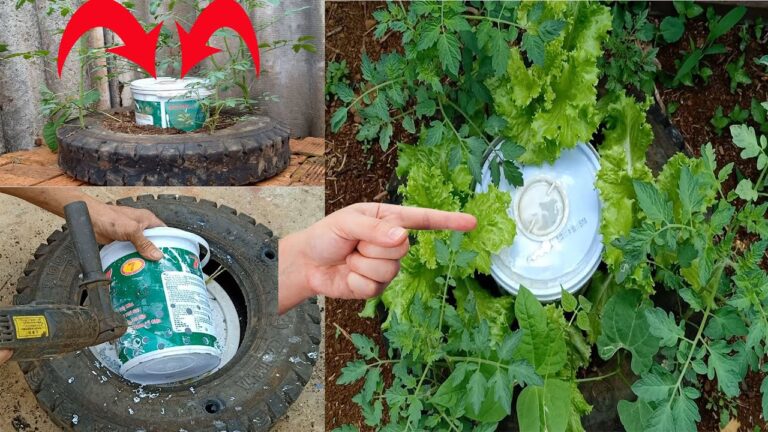 5 trucchi per coltivare pomodori straordinari nei tuoi giardini!
