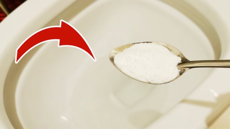 10 trucchi infallibili per un WC sempre pulito e profumato!